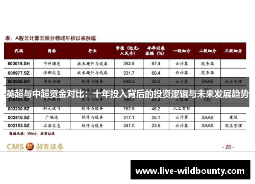 英超与中超资金对比：十年投入背后的投资逻辑与未来发展趋势