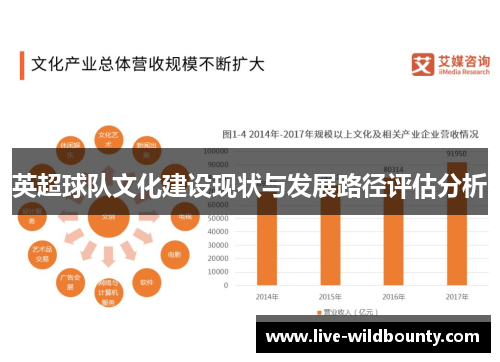 英超球队文化建设现状与发展路径评估分析