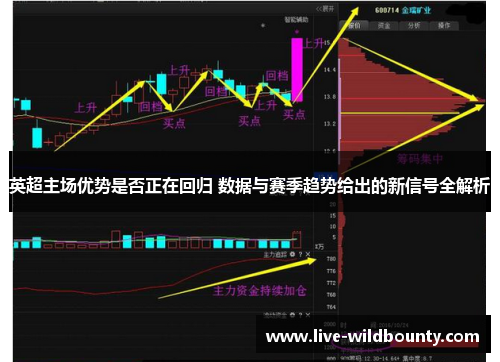 英超主场优势是否正在回归 数据与赛季趋势给出的新信号全解析