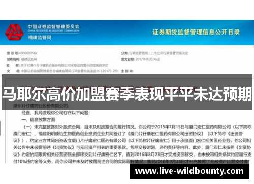 马耶尔高价加盟赛季表现平平未达预期